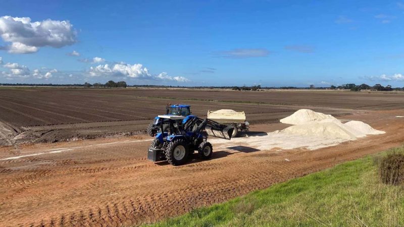 Grain Harvesting