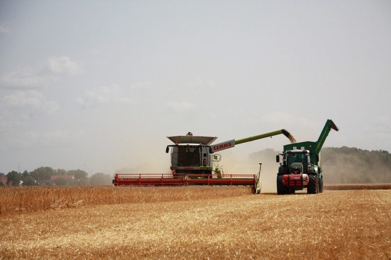 Grain Harvesting Services